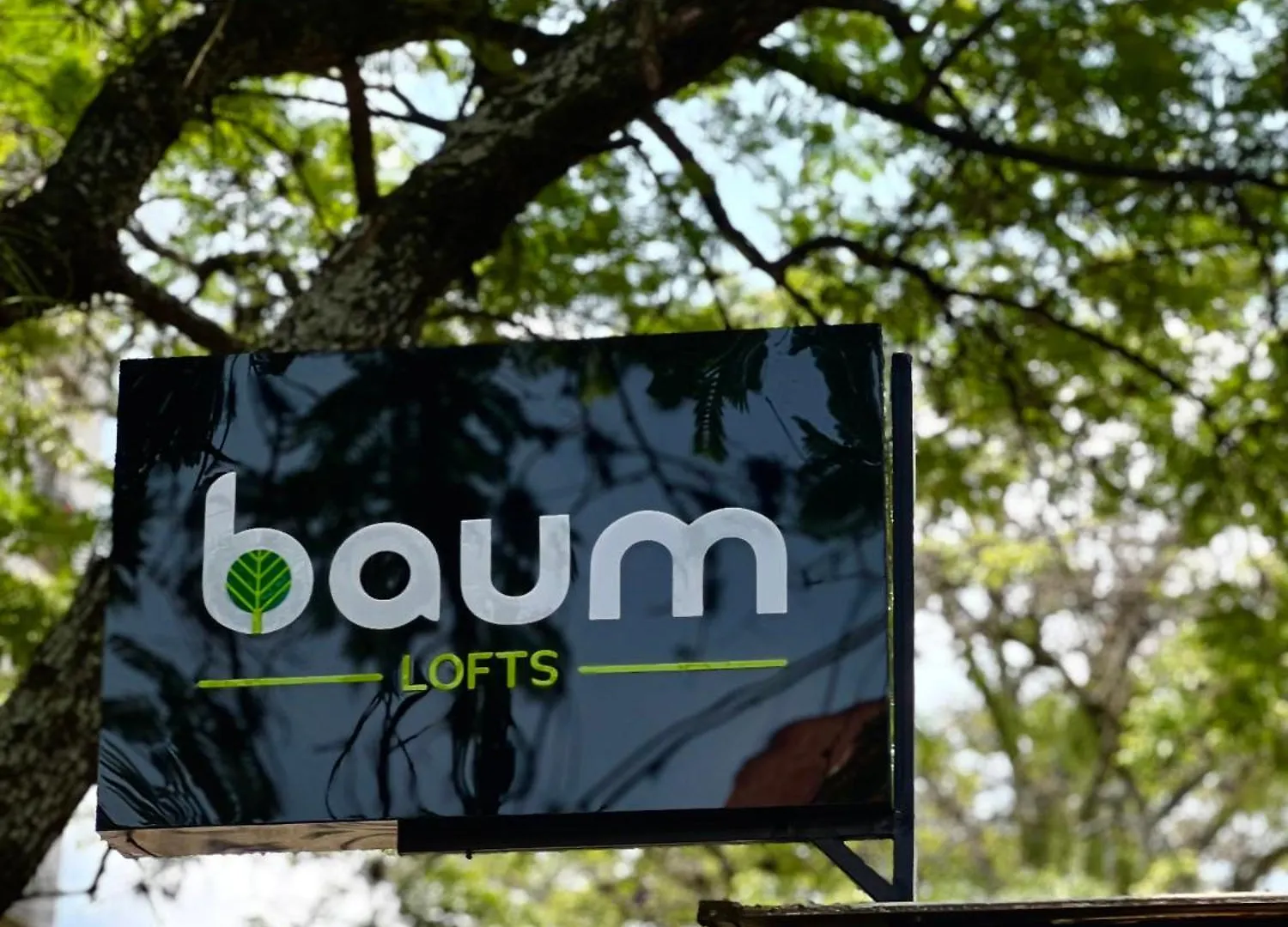 Baum Loft Santa Rita 102 Apartment Cali